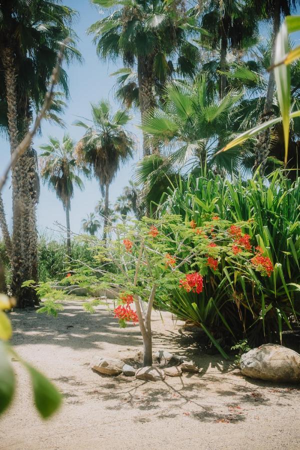 La Poza Boutique Hotel And Spa - Adults 15 Plus Todos Santos Eksteriør billede