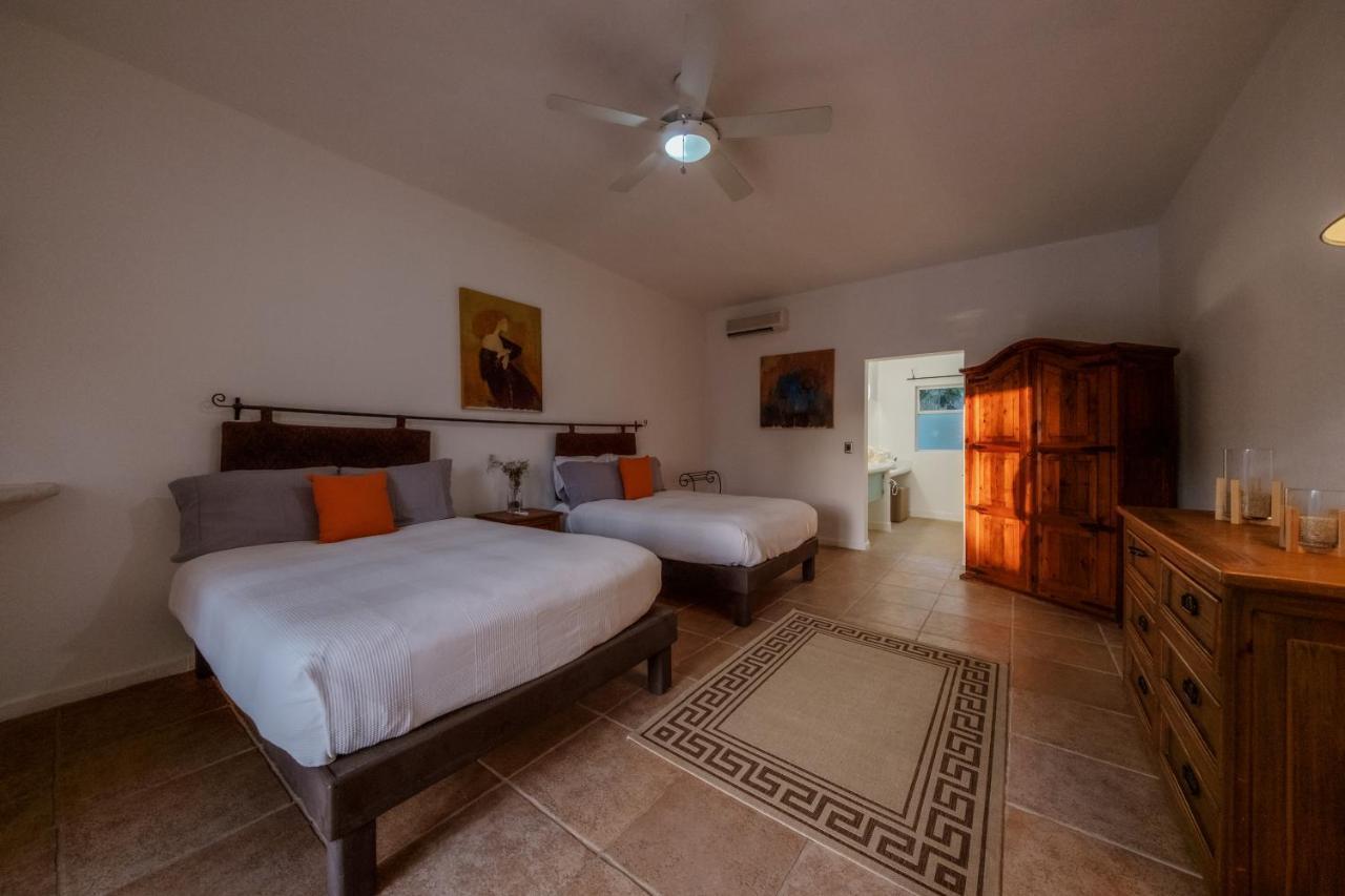 La Poza Boutique Hotel And Spa - Adults 15 Plus Todos Santos Eksteriør billede
