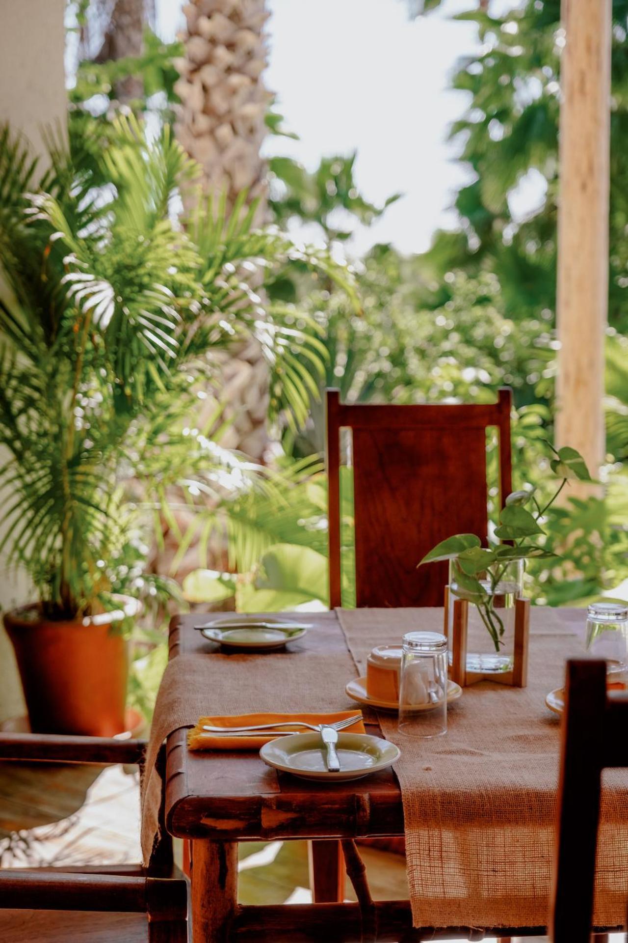 La Poza Boutique Hotel And Spa - Adults 15 Plus Todos Santos Eksteriør billede