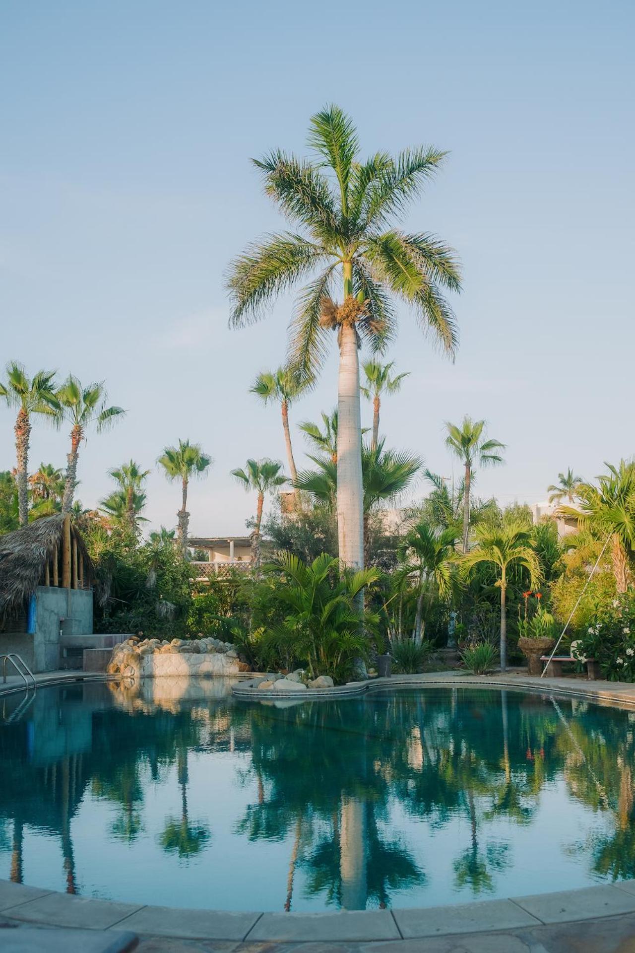 La Poza Boutique Hotel And Spa - Adults 15 Plus Todos Santos Eksteriør billede